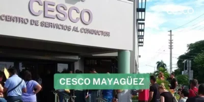 Cesco Mayagüez